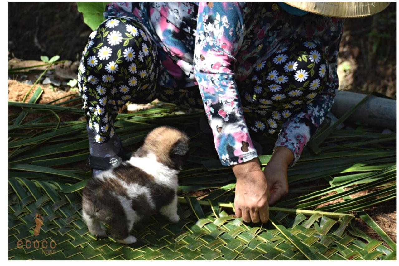 Ecoco Homestay Mekong Ben Tre Kültér fotó