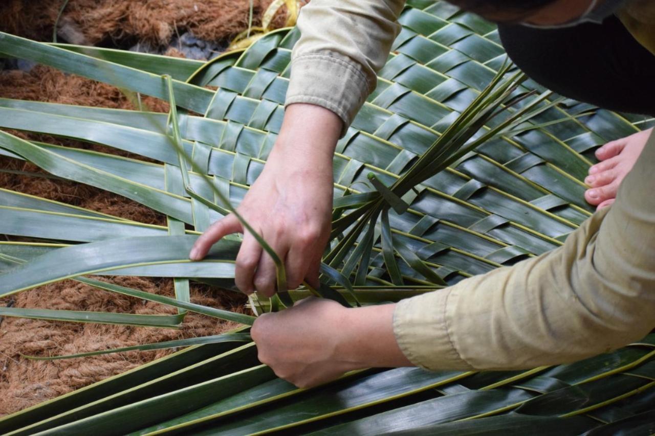 Ecoco Homestay Mekong Ben Tre Kültér fotó
