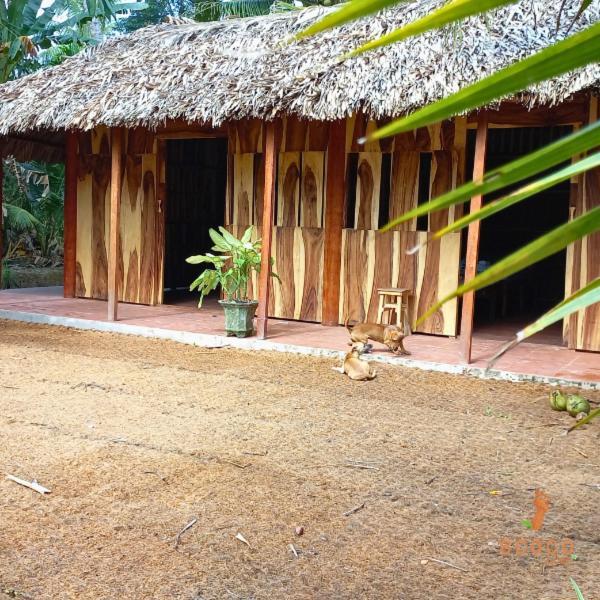 Ecoco Homestay Mekong Ben Tre Kültér fotó